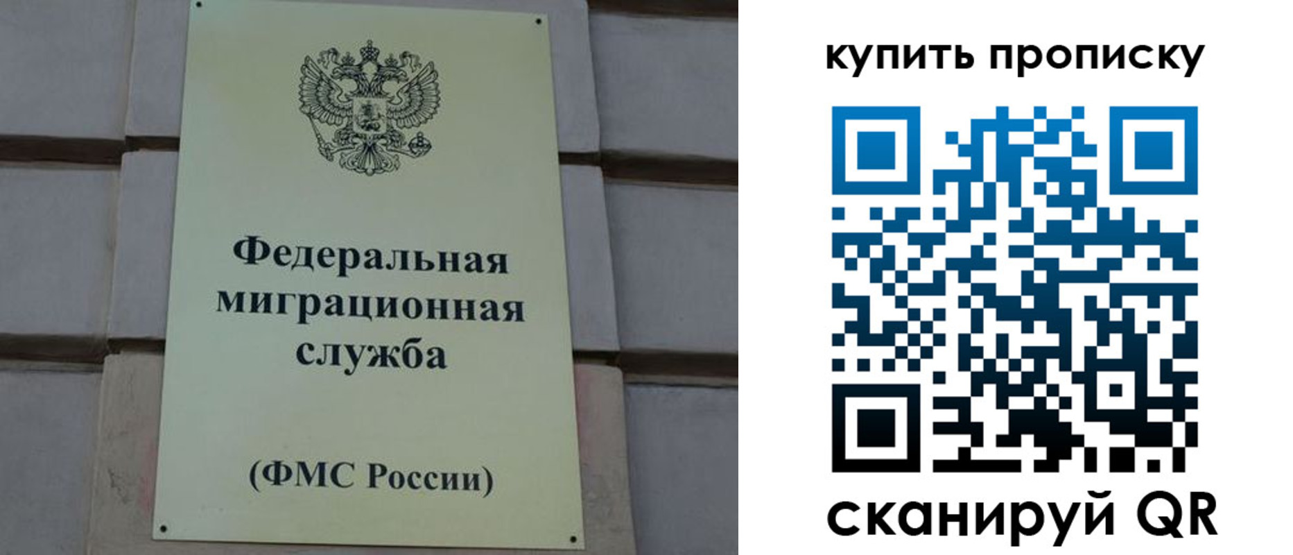 прописка законно в Чите
